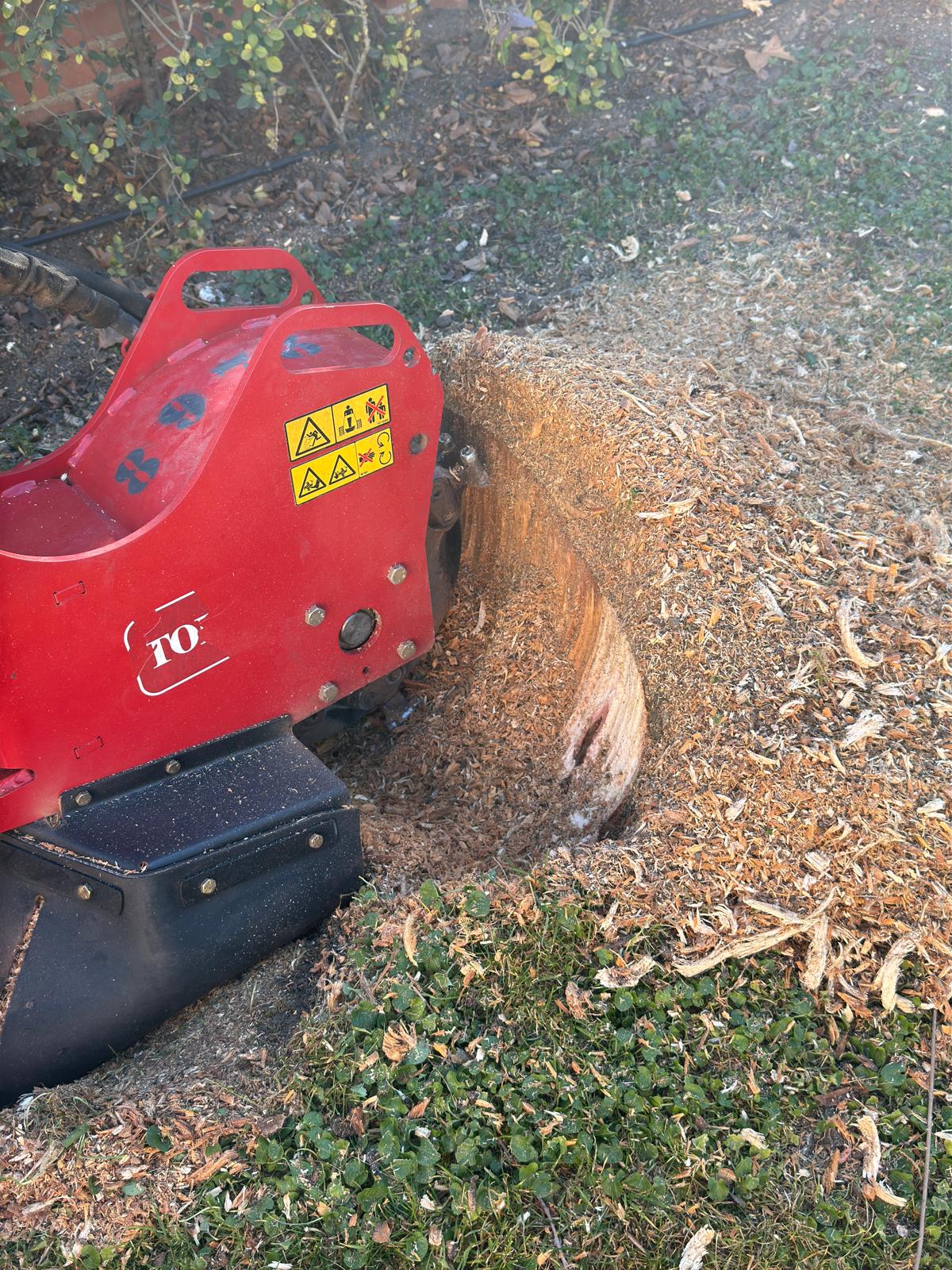 destoconado-maquina-profesional-tocon máquina de destoconado trabajando sobre un tocón de árbol