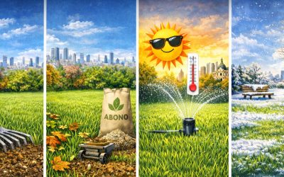 📅 Calendario de cuidados del césped natural durante el año en Madrid