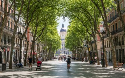 Los beneficios de los árboles urbanos en Madrid: mucho más que una cuestión estética