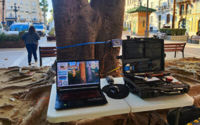 Tomografía por ultrasonidos en Ficus: diagnóstico avanzado del arbolado urbano en Madrid