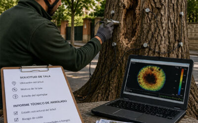 Cuándo es obligatorio talar un árbol en Madrid: normativa, permisos y claves para evitar sanciones