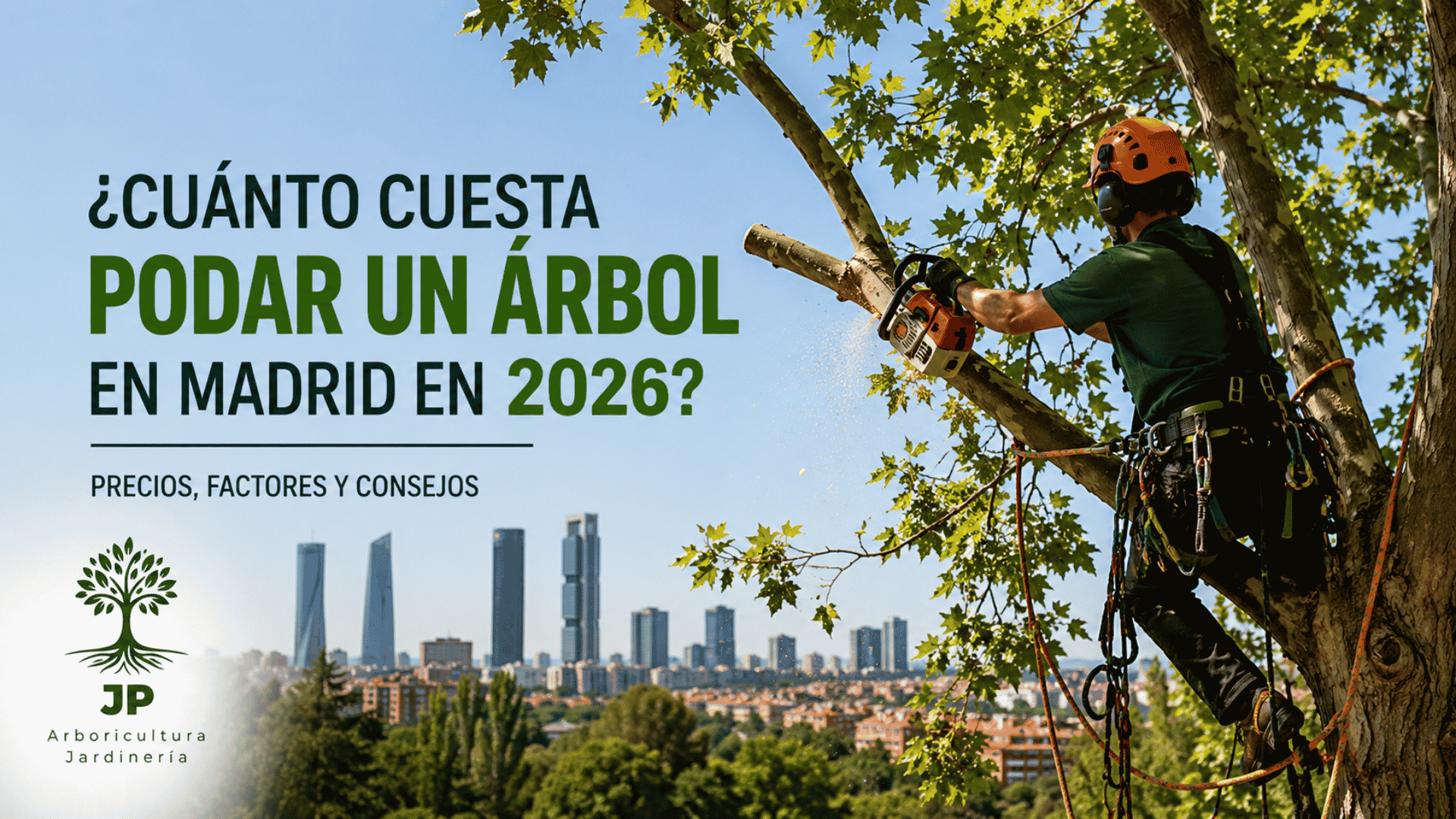cuanto-cuesta-podar-un-arbol-en-madrid-2026 Trabajador realizando poda profesional de un árbol en Madrid para ilustrar los precios de poda de árboles en 2026