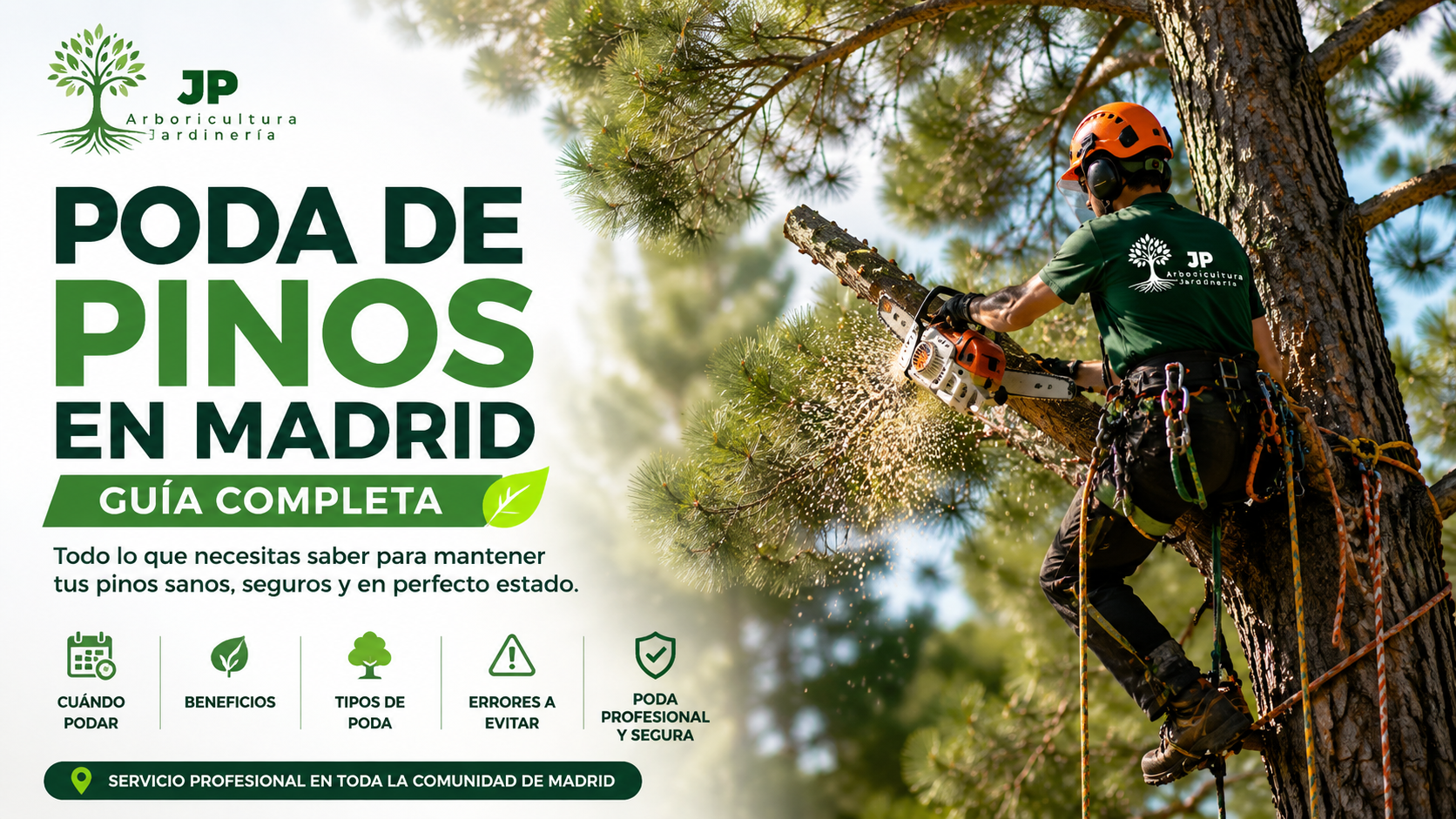 Trabajador realizando poda profesional de pinos en Madrid mediante técnicas de arboricultura y poda en altura