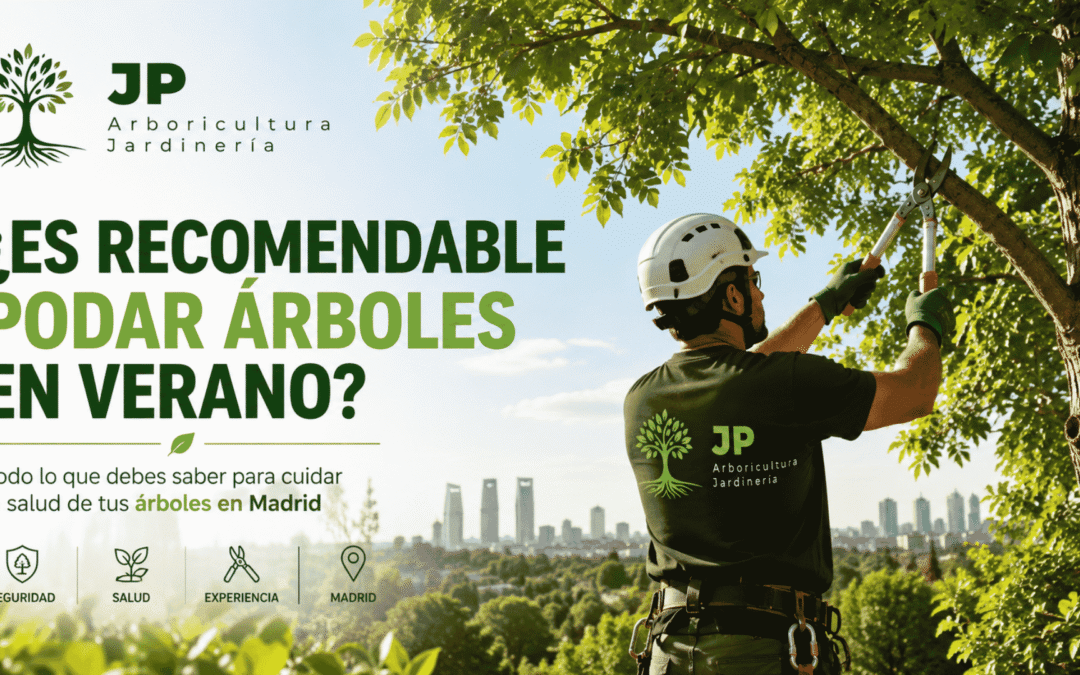 ¿Es recomendable podar árboles en verano? Todo lo que debes saber en Madrid