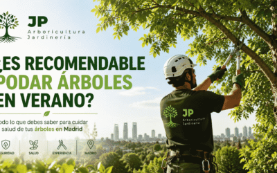 ¿Es recomendable podar árboles en verano? Todo lo que debes saber en Madrid