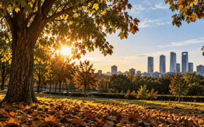 ¿Qué hacer con los árboles después del verano? Guía de cuidados en Madrid