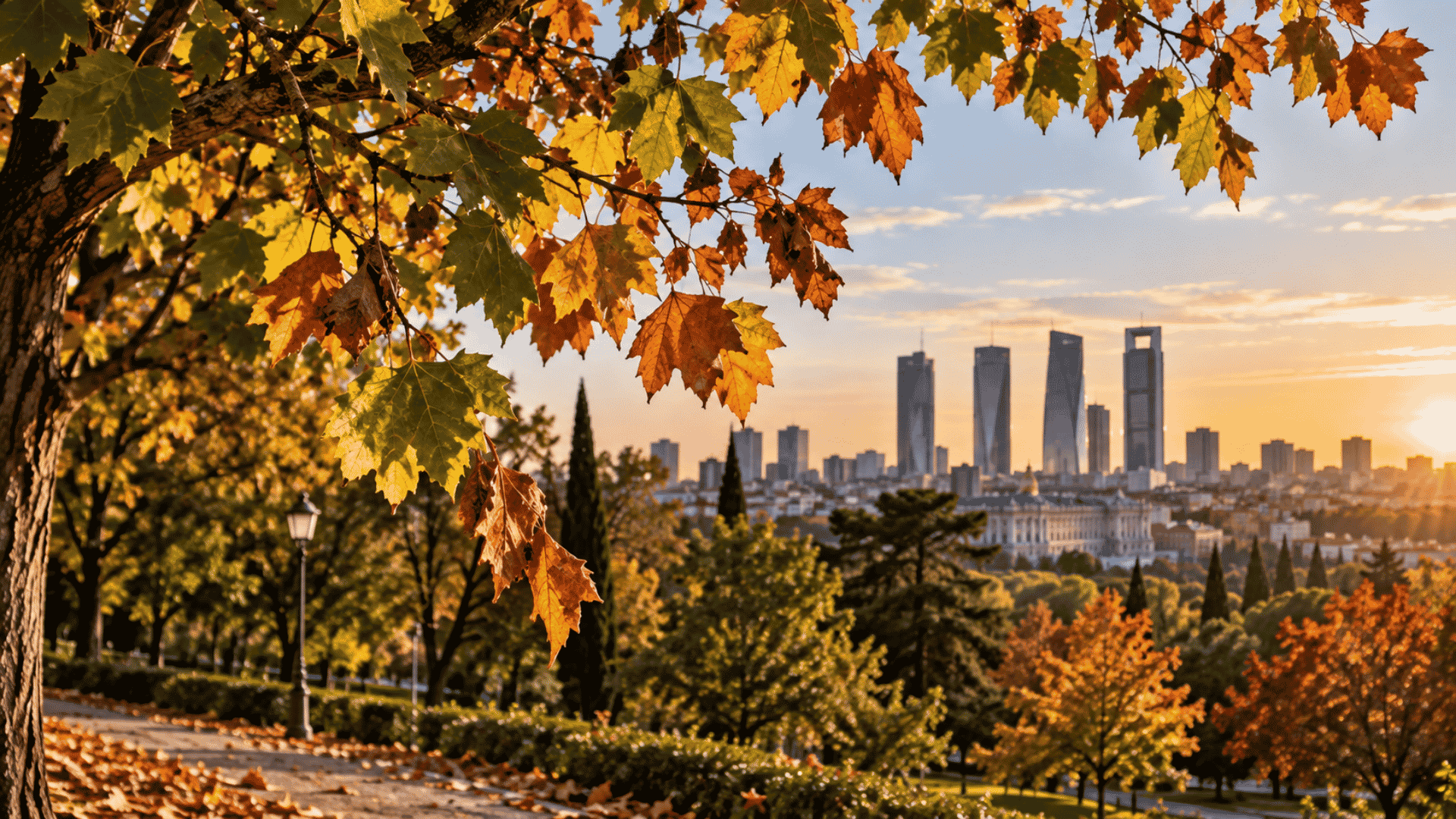 como-saben-los-arboles-que-llega-el-otono-madrid