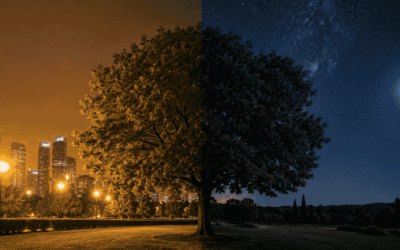 ¿La contaminación lumínica afecta a los árboles? Cómo la luz nocturna puede alterar su ciclo natural