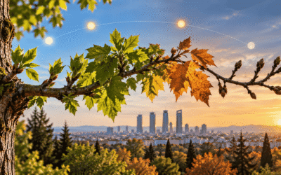 ¿Cómo sabe un árbol cuándo debe dejar de crecer?
